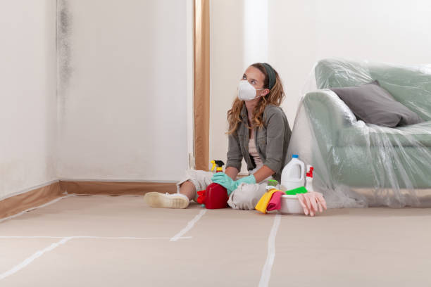 Reliable Mold Remediation contractor in Florida, FL by WQB Mold Removal